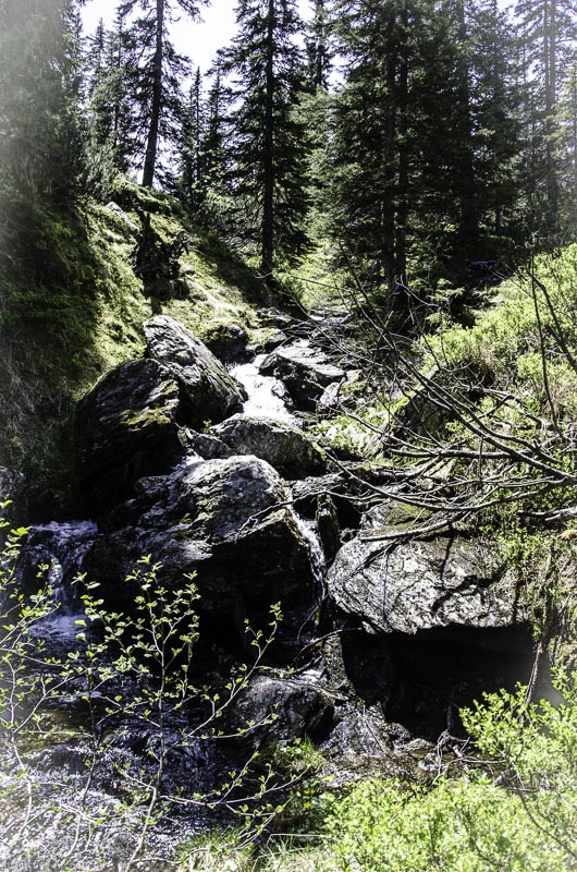 I A 078 Juni 17 2829-bogenschiessen