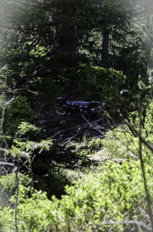 I A 079 Juni 17 2831-bogenschiessen