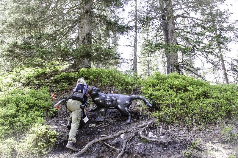 I A 086 Juni 17 2848-bogenschiessen