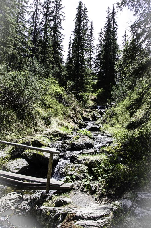 I A 087 Juni 17 2849-bogenschiessen