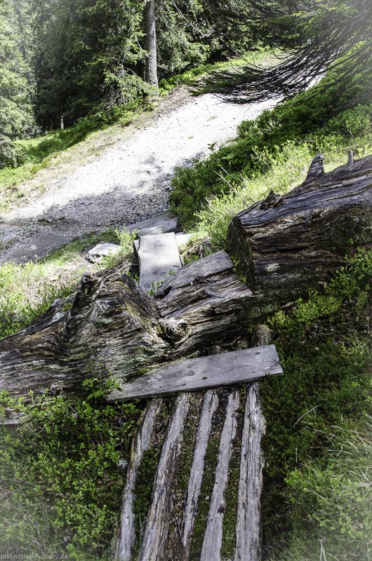 I A 090 Juni 17 2853-bogenschiessen