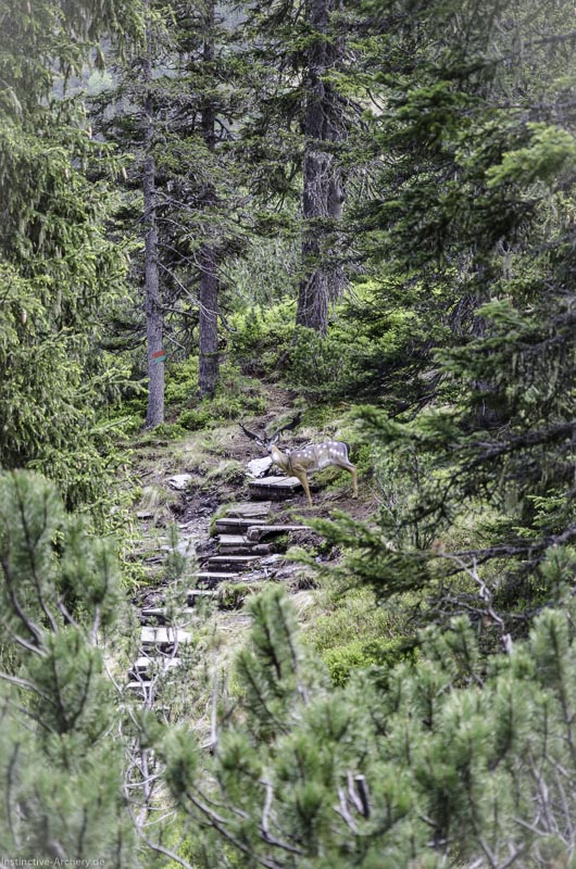 I A 091 Juni 17 2855-bogenschiessen