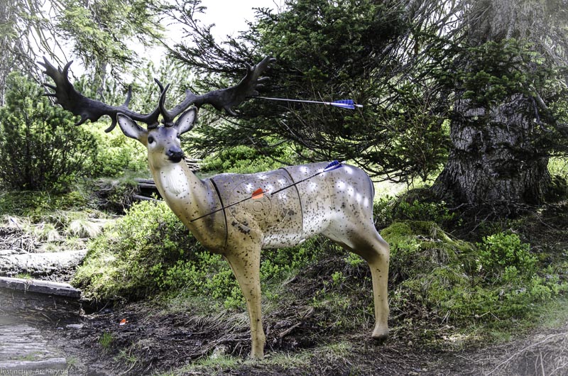 I A 094 Juni 17 2859-bogenschiessen