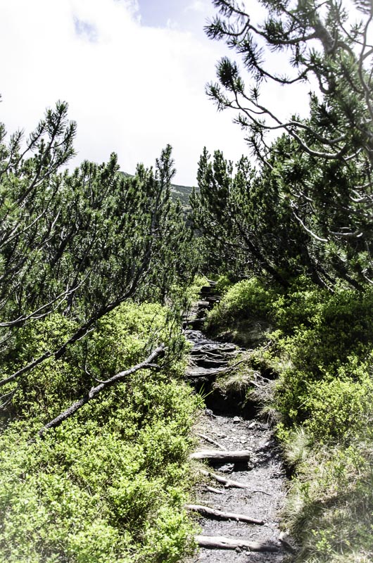 I A 096 Juni 17 2861-bogenschiessen