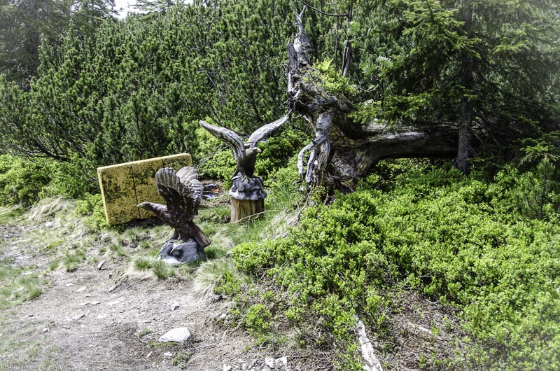 I A 106 Juni 17 2873-bogenschiessen