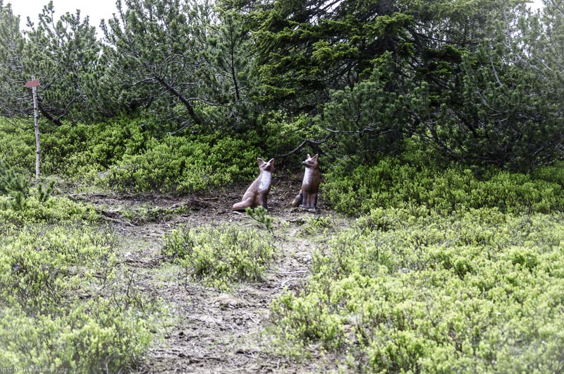 I A 112 Juni 17 2879-bogenschiessen