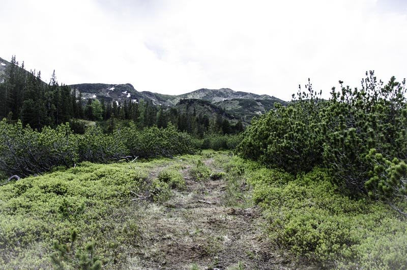I A 113 Juni 17 2880-bogenschiessen