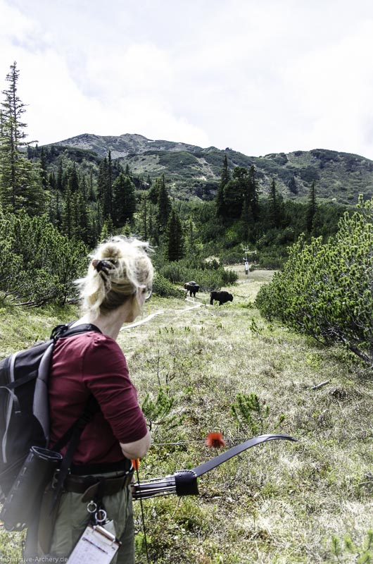 I A 116 Juni 17 2885-bogenschiessen