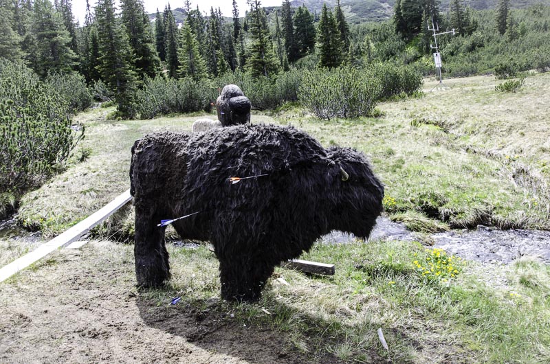 I A 117 Juni 17 2886-bogenschiessen