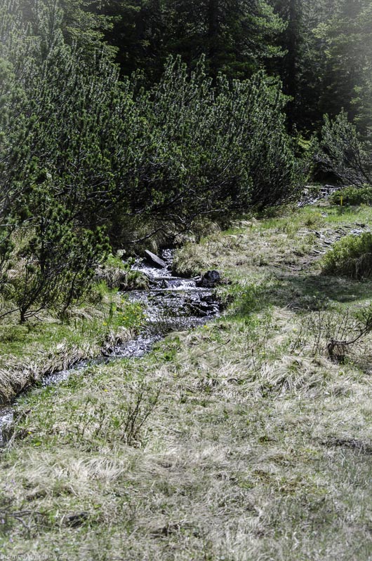 I A 118 Juni 17 2887-bogenschiessen