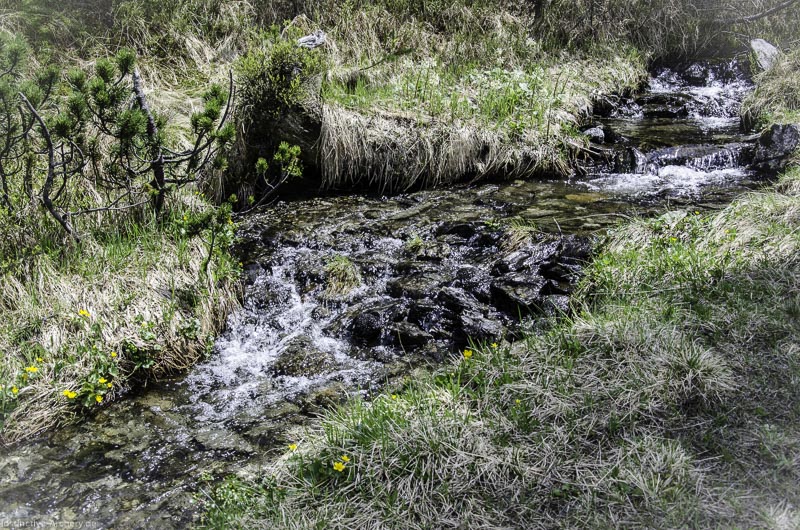 I A 119 Juni 17 2888-bogenschiessen