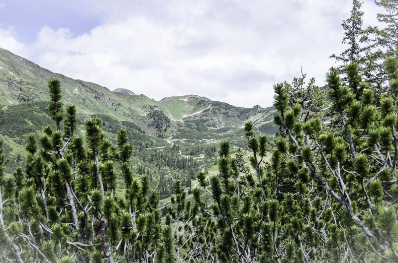 I A 122 Juni 17 2895-bogenschiessen