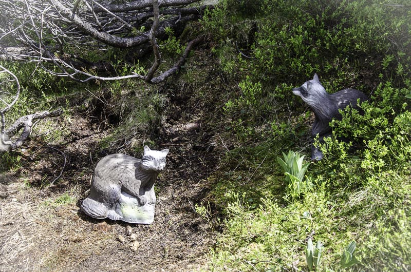 I A 124 Juni 17 2900-bogenschiessen