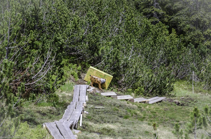 I A 125 Juni 17 2902-bogenschiessen