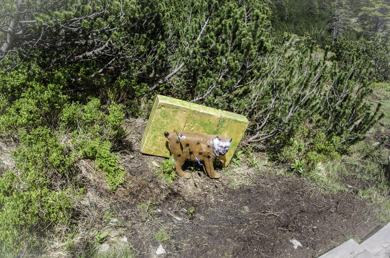 I A 128 Juni 17 2910-bogenschiessen