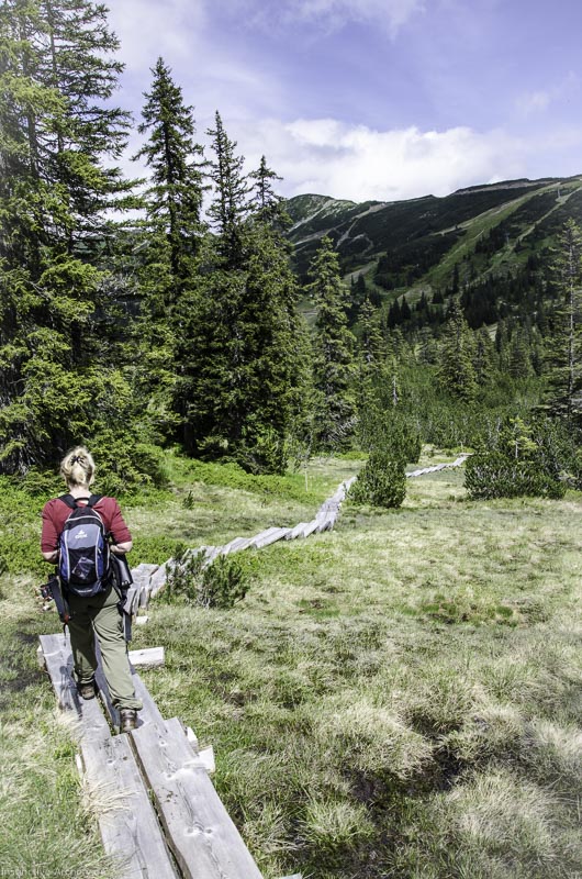 I A 129 Juni 17 2911-bogenschiessen
