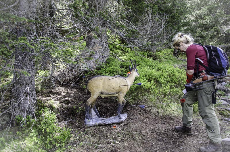 I A 131 Juni 17 2915-bogenschiessen