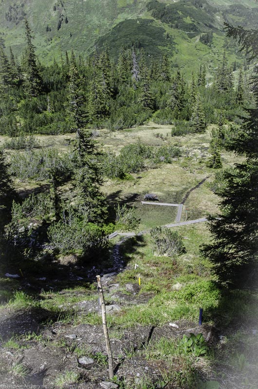 I A 136 Juni 17 2926-bogenschiessen