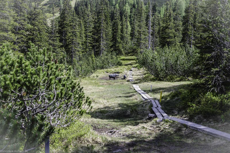 I A 139 Juni 17 2934-bogenschiessen