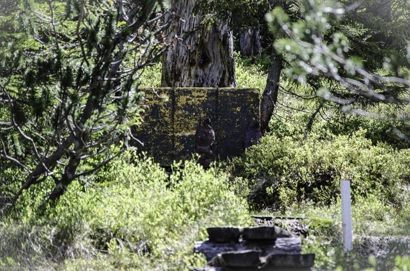 I A 141 Juni 17 2939-bogenschiessen