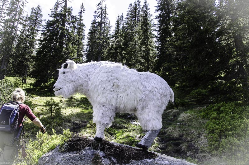 I A 144 Juni 17 2945-bogenschiessen