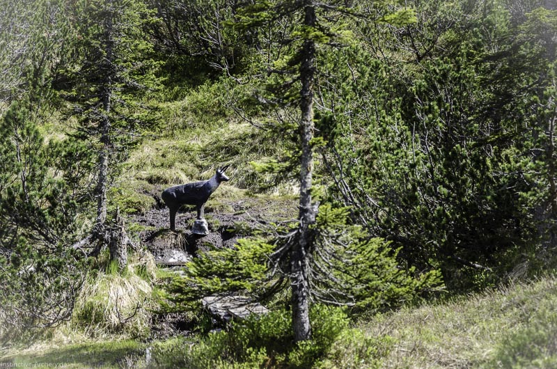 I A 145 Juni 17 2947-bogenschiessen