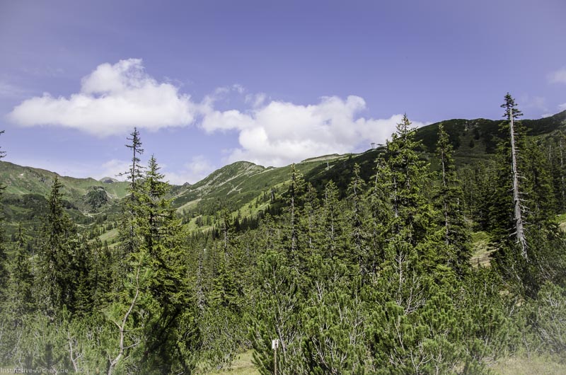 I A 146 Juni 17 2948-bogenschiessen