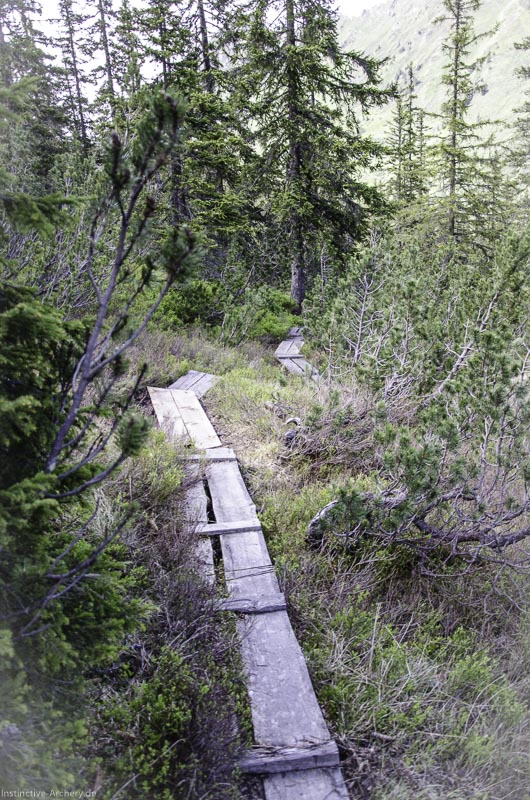 I A 149 Juni 17 2954-bogenschiessen