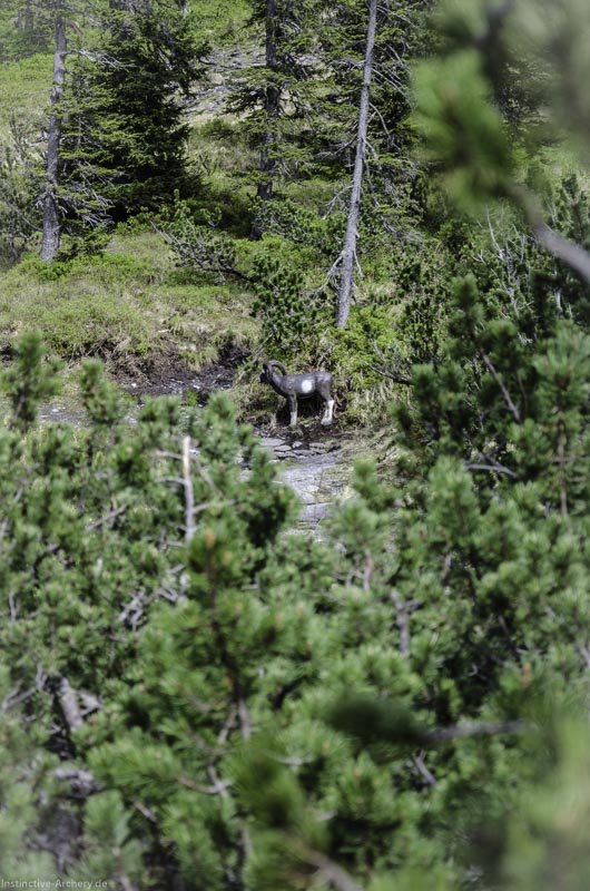 I A 151 Juni 17 2958-bogenschiessen