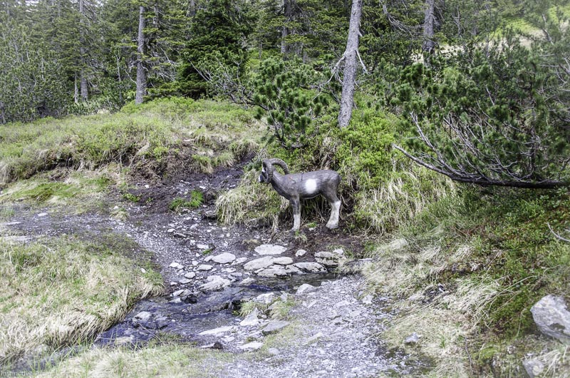 I A 152 Juni 17 2960-bogenschiessen