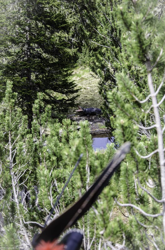 I A 153 Juni 17 2962-bogenschiessen