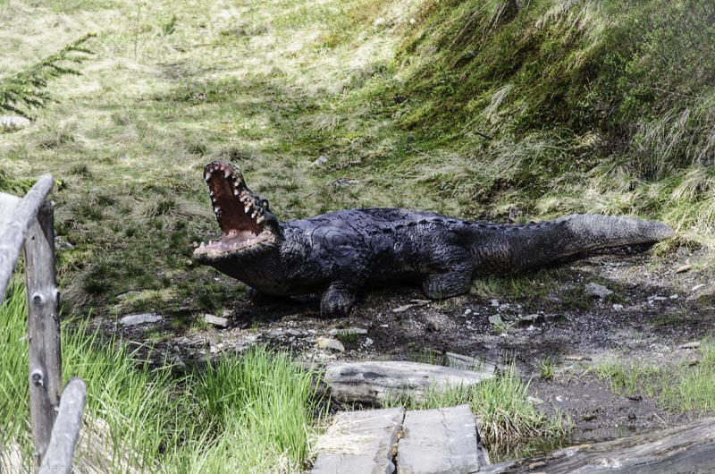 I A 155 Juni 17 2967-bogenschiessen