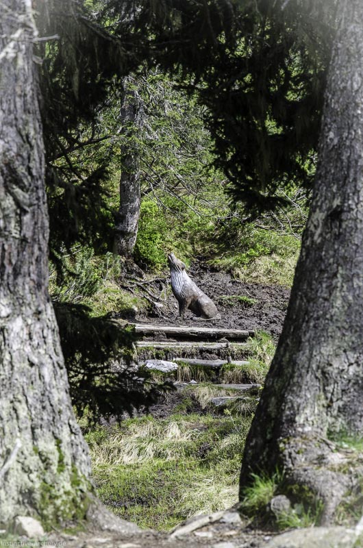 I A 159 Juni 17 2974-bogenschiessen