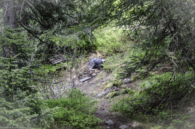 I A 165 Juni 17 2984-bogenschiessen