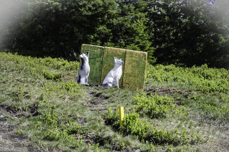 I A 171 Juni 17 2992-bogenschiessen