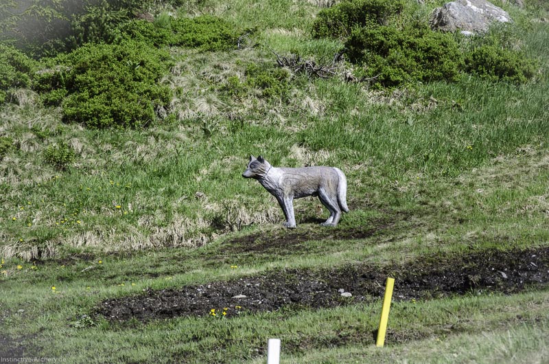 I A 172 Juni 17 2995-bogenschiessen