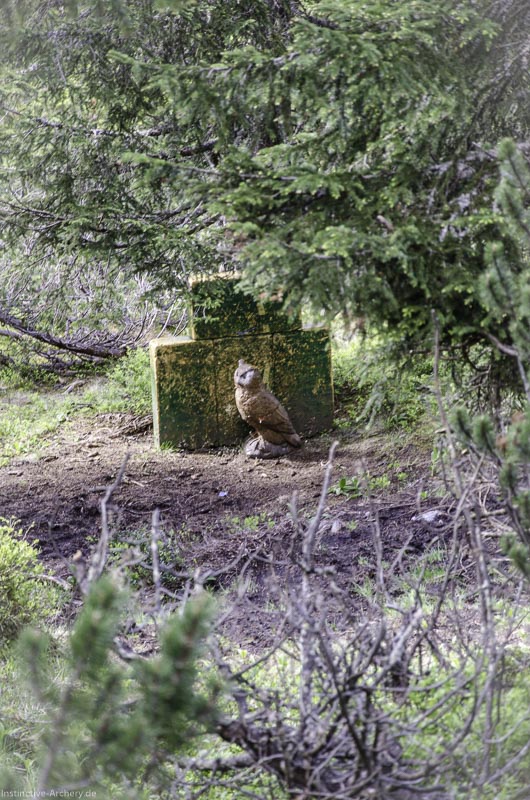 I A 173 Juni 17 2998-bogenschiessen