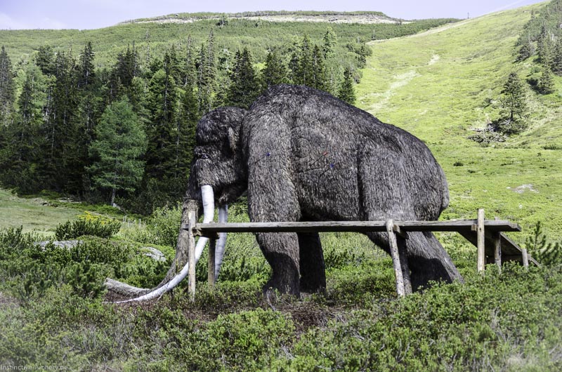 I A 176 Juni 17 3005-bogenschiessen