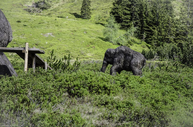 I A 177 Juni 17 3006-bogenschiessen