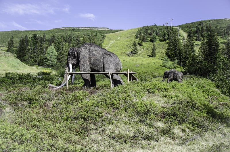 I A 178 Juni 17 3007-bogenschiessen