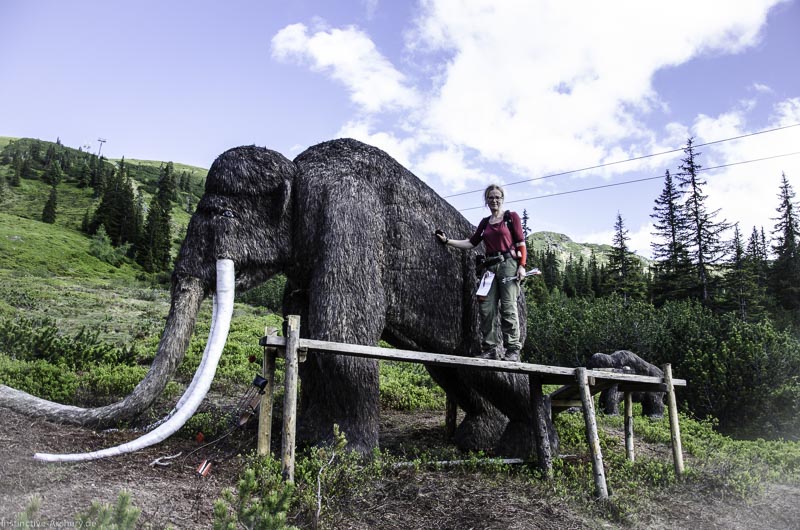 I A 179 Juni 17 3009-bogenschiessen