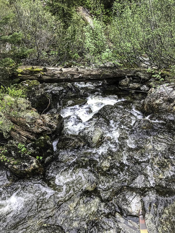 I A 183 Juni 17 9761-bogenschiessen