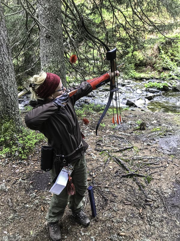 I A 185 Juni 17 9763-bogenschiessen