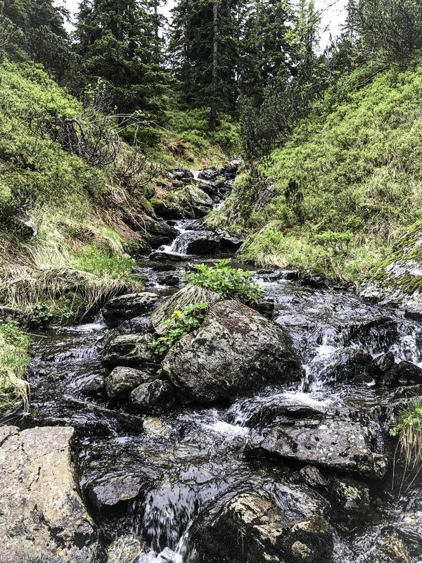 I A 195 Juni 17 9784-bogenschiessen