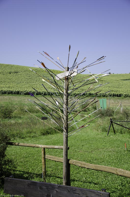 I A 011 August 17 3411-bogenschiessen