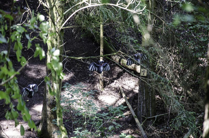 I A 019 August 17 3435-bogenschiessen