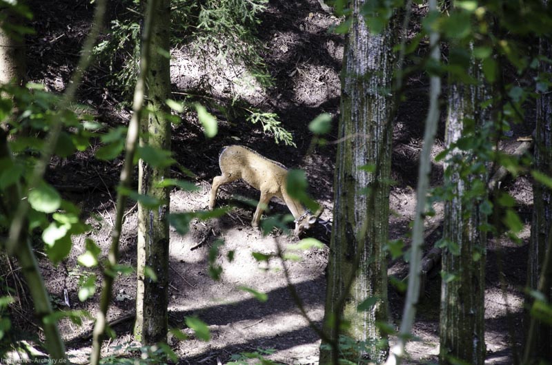 I A 020 August 17 3437-bogenschiessen