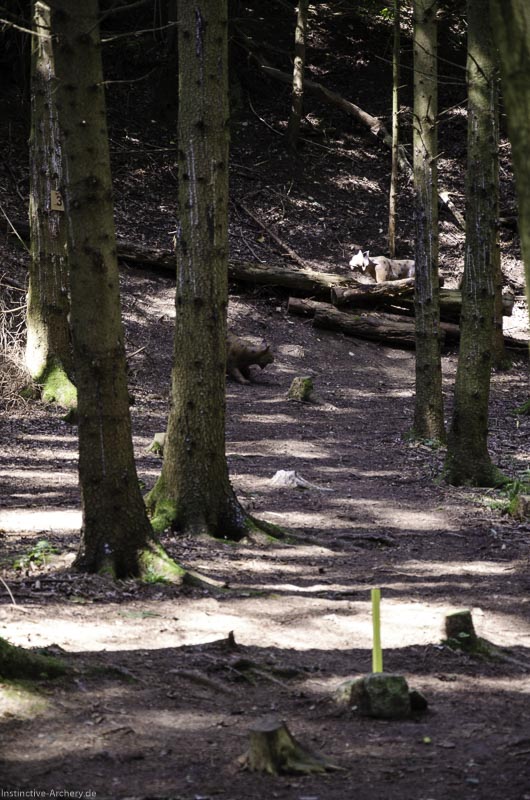 I A 028 August 17 3449-bogenschiessen