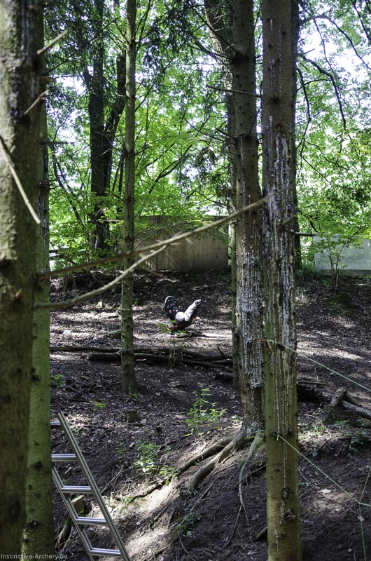 I A 031 August 17 3457-bogenschiessen