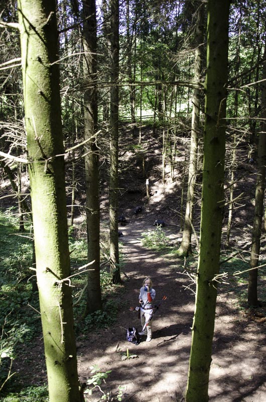 I A 033 August 17 3462-bogenschiessen